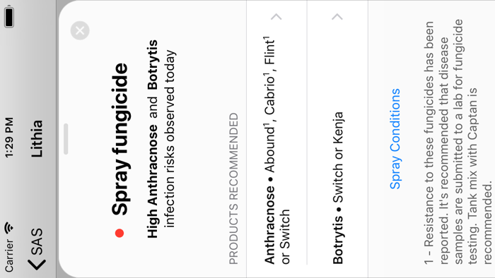 Strawberry Advisory System