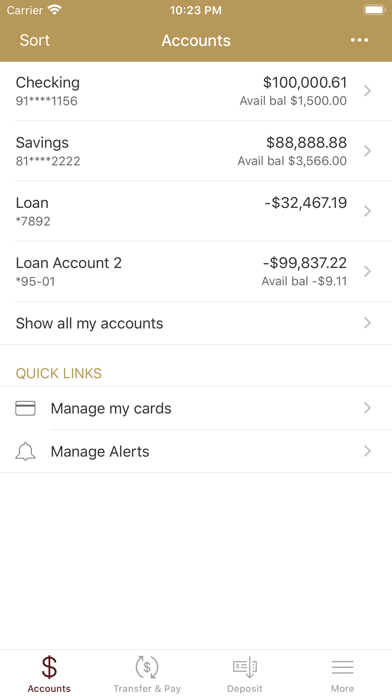 Village Bank Mobile Screenshot
