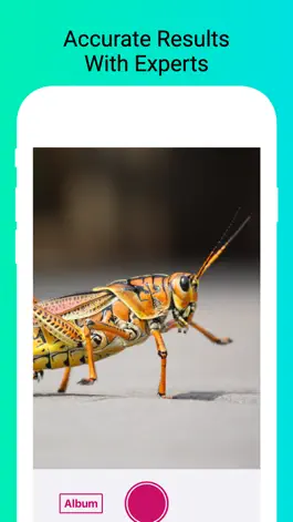 Game screenshot Insect Identifier - Scan Bugs apk