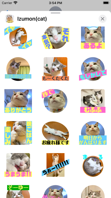 Izumon(cat)Sticker Screenshot