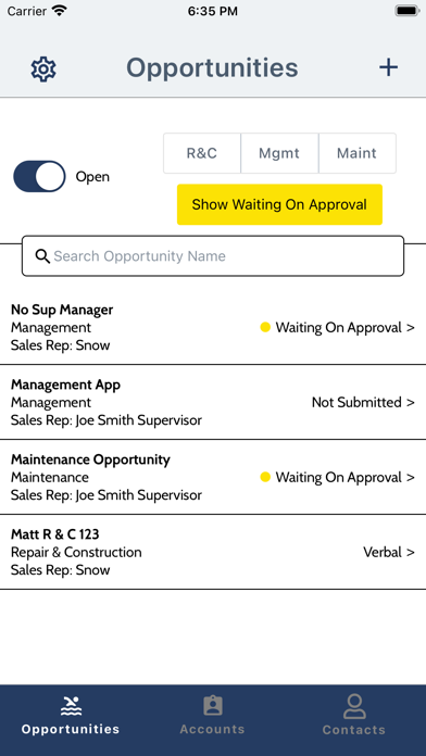 CA Salesperson Screenshot