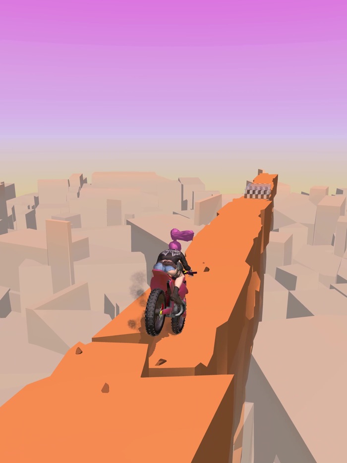 Dirt Bike - Motocycle