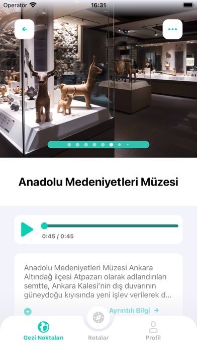 Altın Rota Screenshot