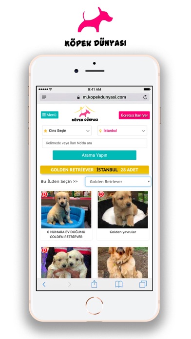 Köpek Dünyası Köpek İlanları Screenshot