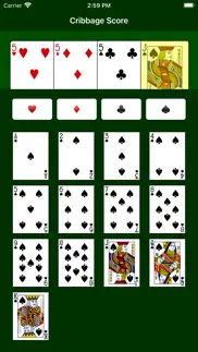 cribbage score problems & solutions and troubleshooting guide - 1