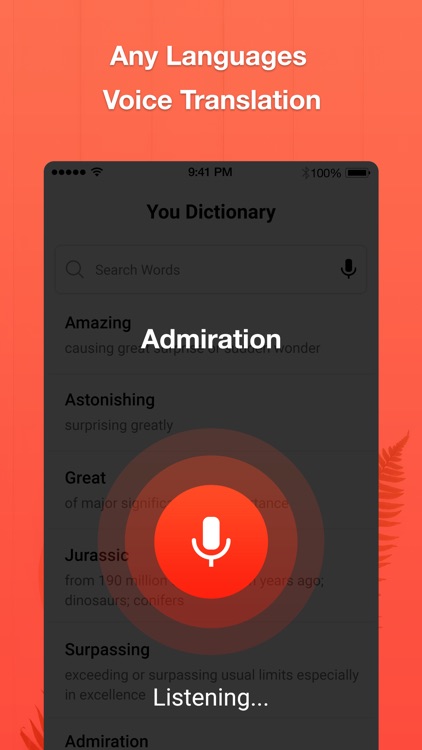 You Dictionary - New Discovery