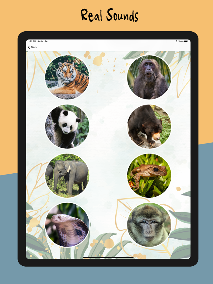 Animal Sounds - Nature Calls