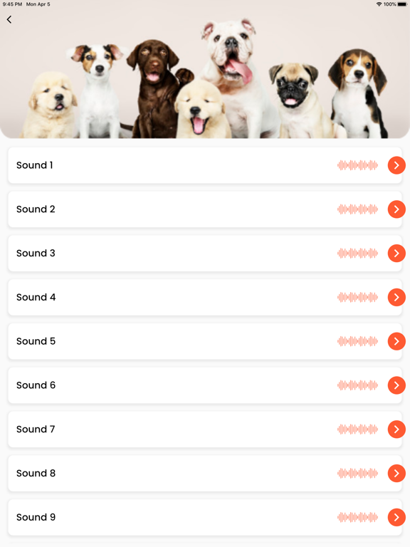 Screenshot #5 pour Dog Sounds - Breed, Attention