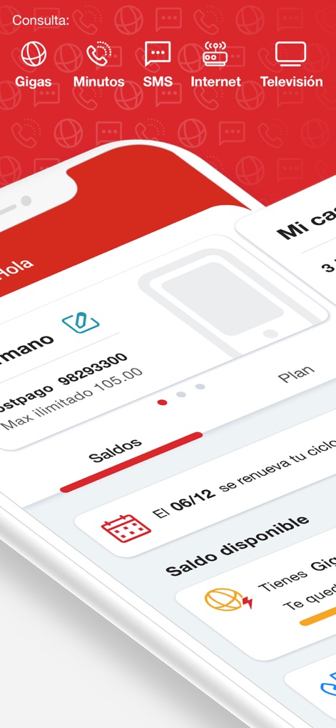 Mi Claro Perú - This tool allows users to easily view their current service balances and important renewal dates, all accessible via the intuitive service category navigation at the top.