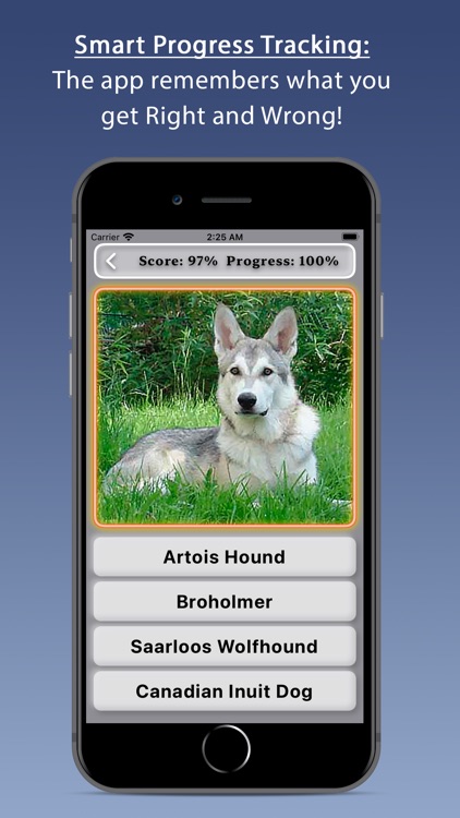 Dogs Lite - Photo Breeds Quiz