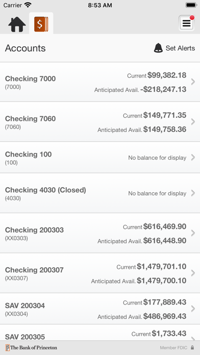 The Bank of Princeton Business Screenshot
