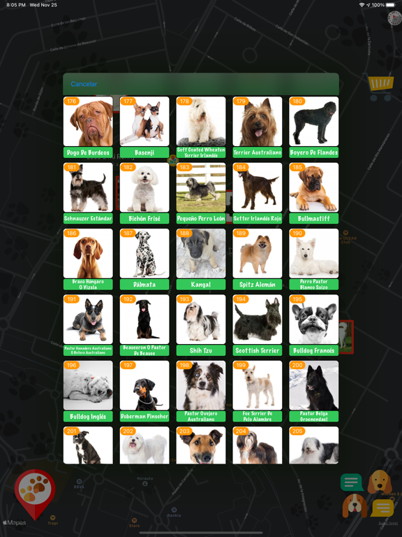 Screenshot #6 pour Dog Chat - Dogs Chats