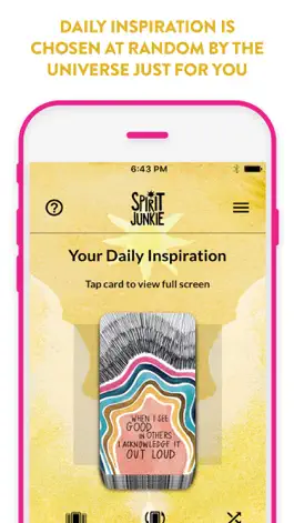 Game screenshot Spirit Junkie Card Deck apk