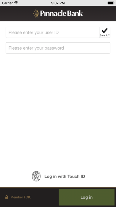 Pinnacle Bank Texas Business Screenshot