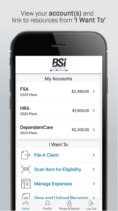 BSi Companies Screenshot