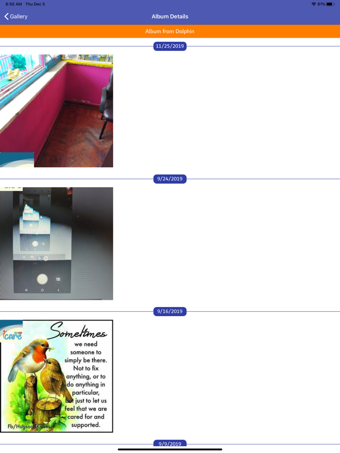 Learn  Play children center