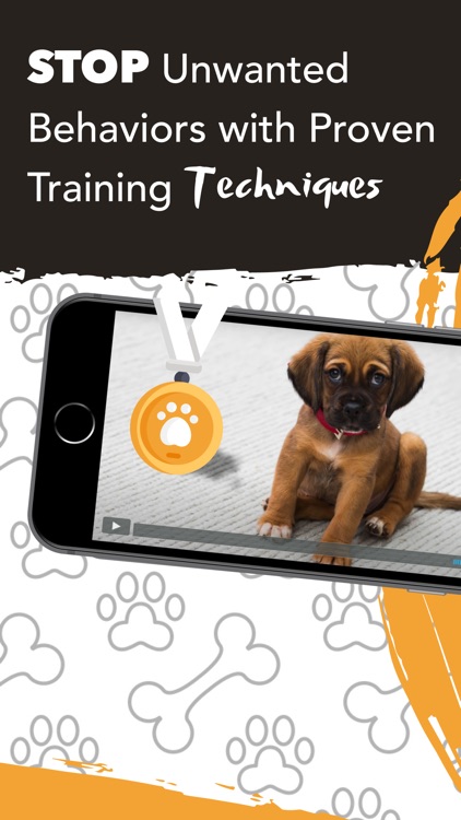 Puppy Training Chewy Tips App