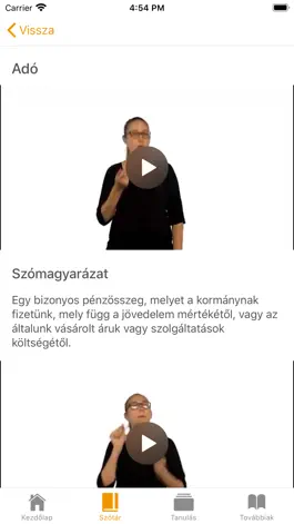 Game screenshot SWING Turizmus (Magyar) apk