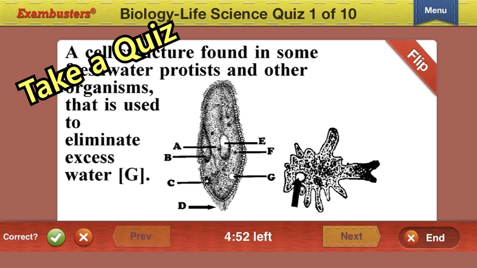 #5. Exambust Test Prep Flashcards (macOS) 由: Exambusters