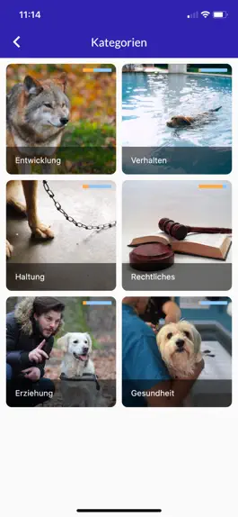 Game screenshot Hundekunde Pro hack