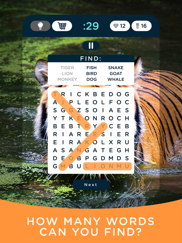 Word Search The Game