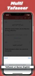 Quran Tafaseer in English screenshot #4 for iPhone