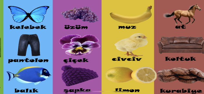 Renkler Şekiller Sayılar