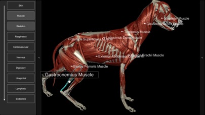 3D Canine Anatomyのおすすめ画像2