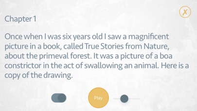 The Little Prince - AudioBook Screenshot