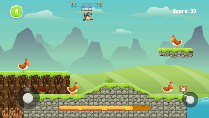 BICH BOMBINGS KILL CHICKENS