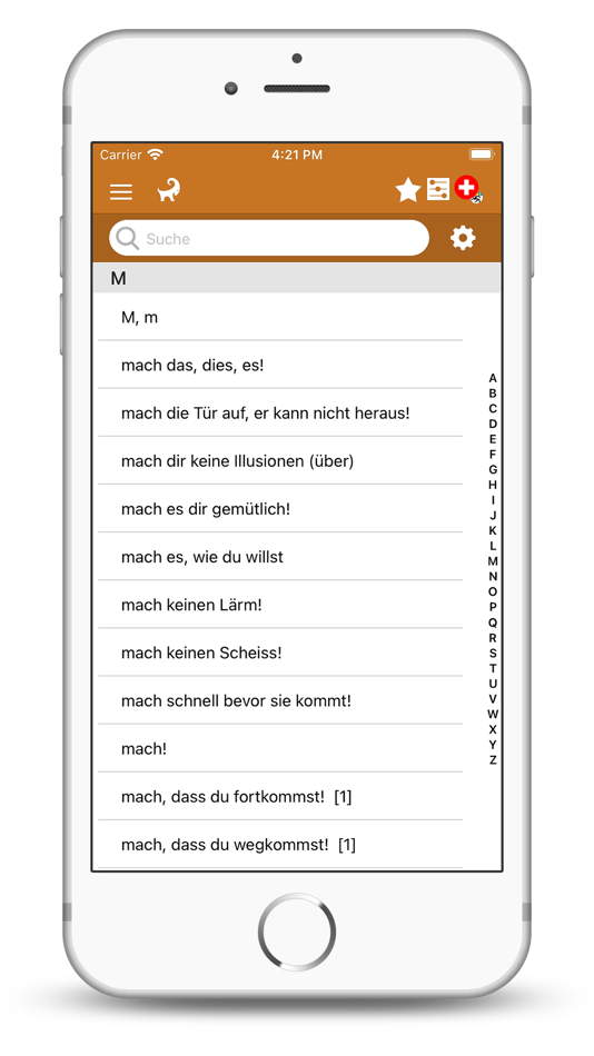 #2. Dicziunari Rumantsch Vallader (iOS) 由: Walter Degonda