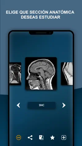 Game screenshot MRI - Protocolos de Resonancia mod apk