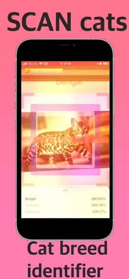 Game screenshot Cat Identifier apk