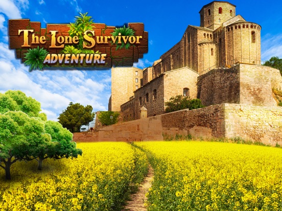 Screenshot #1 for The Lone Survivor - Adventure