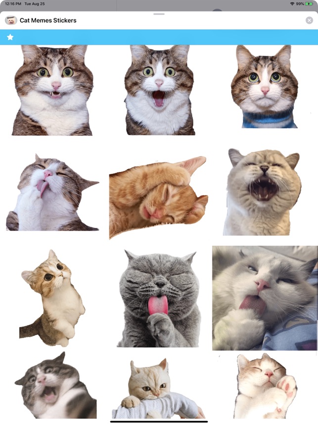 Cat Memes Stickers on the App Store