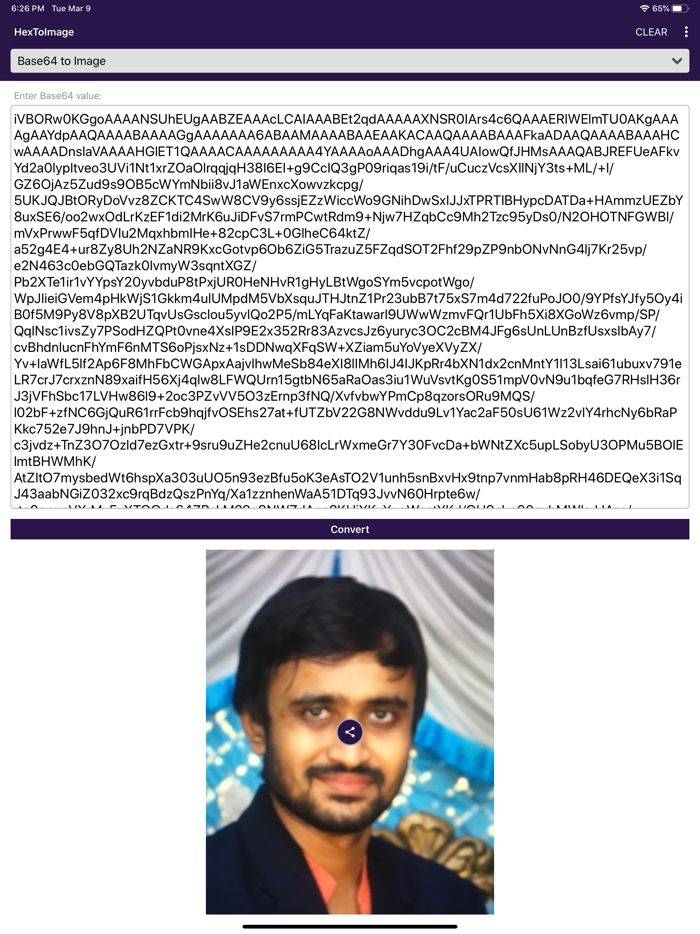 HexToImage Converter