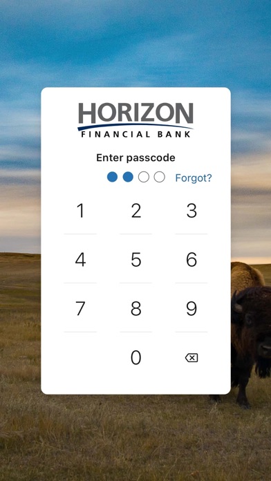 Horizon Mobile-Banking Screenshot