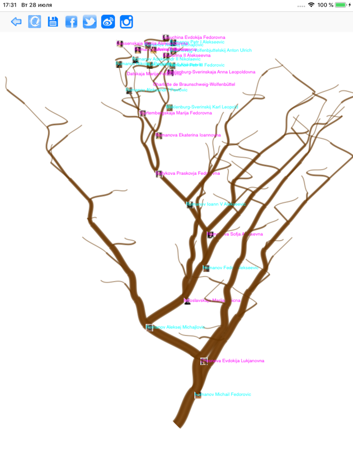The Family Tree of Family