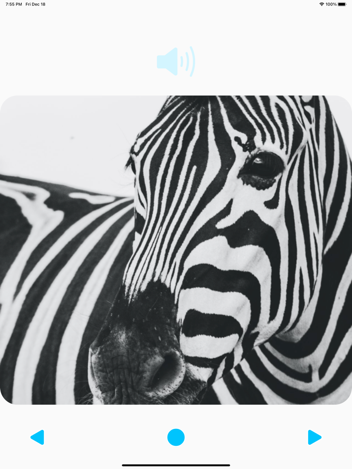 Animal Sounds Player