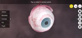 Game screenshot The Eye (Anatomy & Physiology) hack