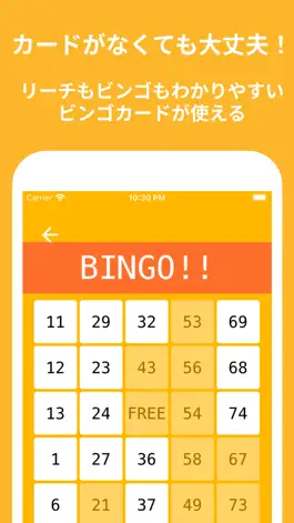 Game screenshot Bingo apk