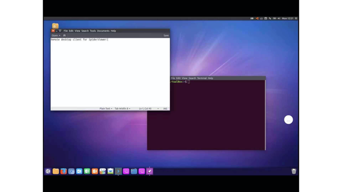 SpiderViewerRDPandVNC