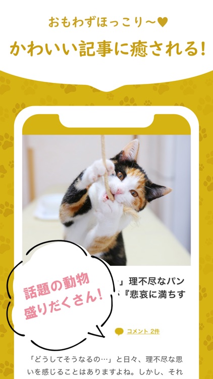 かわいい犬猫が大集合 セカイもふもふ探検隊 もふたん By P Nest Japan Inc かわいい犬猫が大集合 セカイもふもふ探検隊 もふたん By P Nest Japan Inc