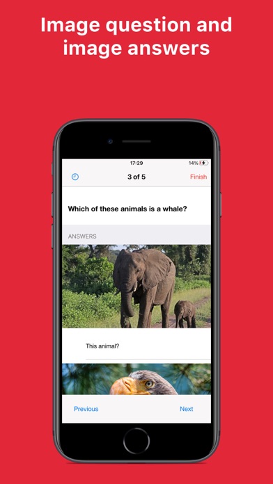 Wreggo Screenshot