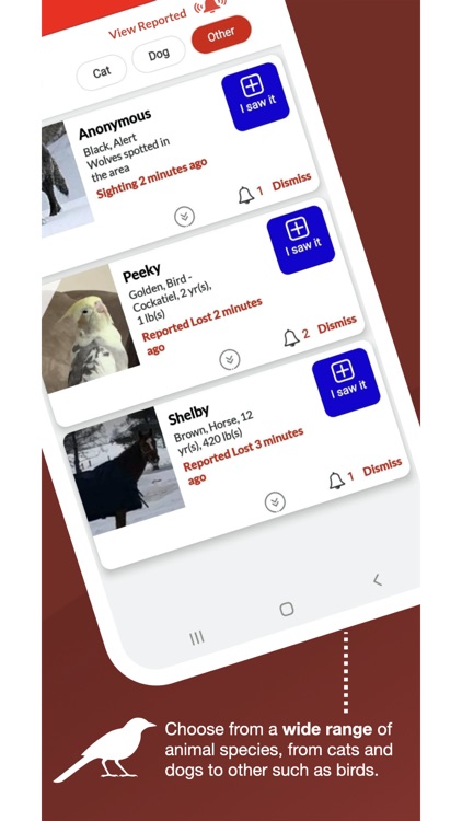 Pet Hero screenshot-7