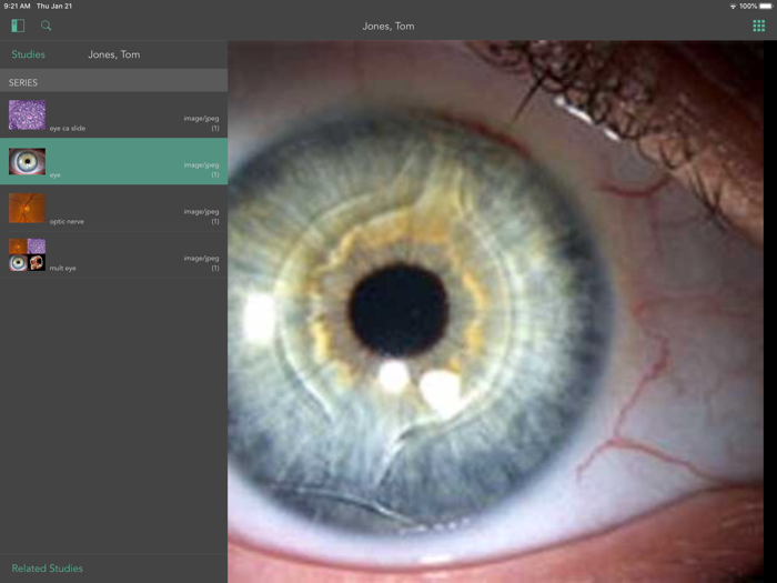 Synapse Mobility Global