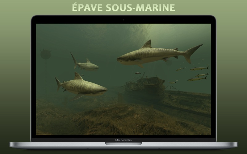 Screenshot #3 pour Requins 3D