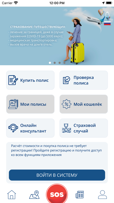 Gross Insurance Screenshot
