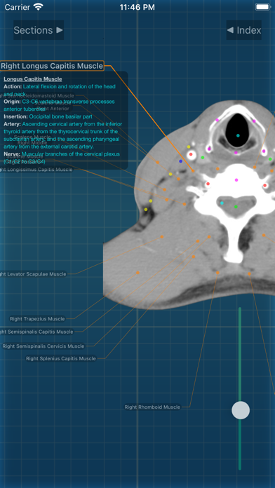 X-Anatomy Pro Screenshot
