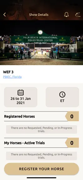 Game screenshot The Equine Platform hack